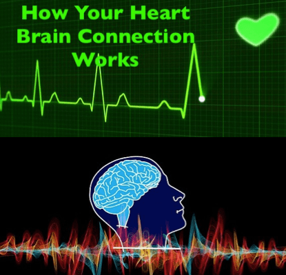 heart and brain waves